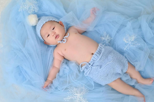 沧州宝宝树怎么样 沧州宝宝树怎么样